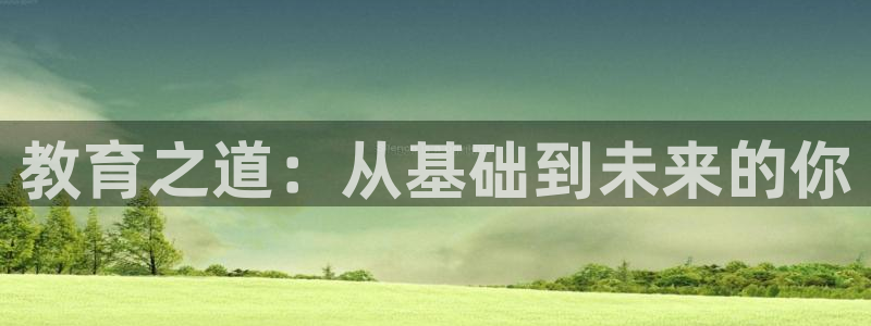 安信12月金股