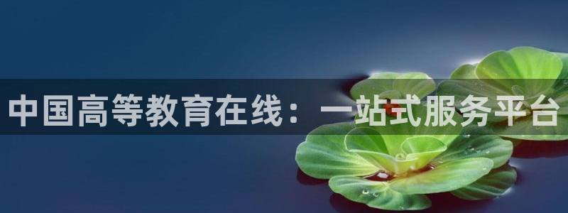 安信12官方网站查询