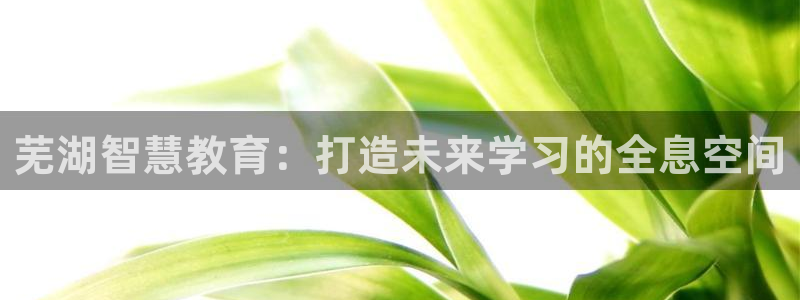 安信12是正规还是仿