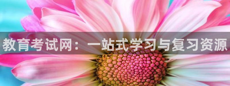 安信12平台介绍