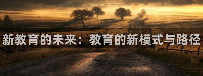 安信12是正规还是仿