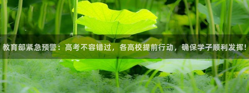 安信122853179Z空间