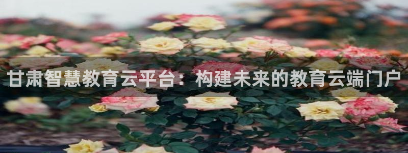 安信12平台下载