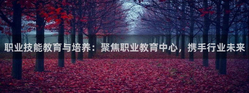 安信证券手机壳12