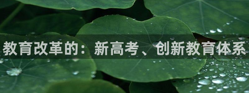 安信12娱乐主管