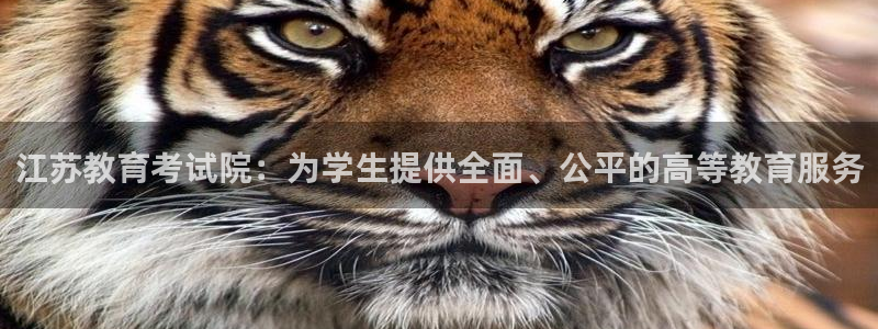 安信12彩票在线网址