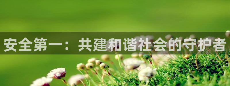 安信安翼 12账号