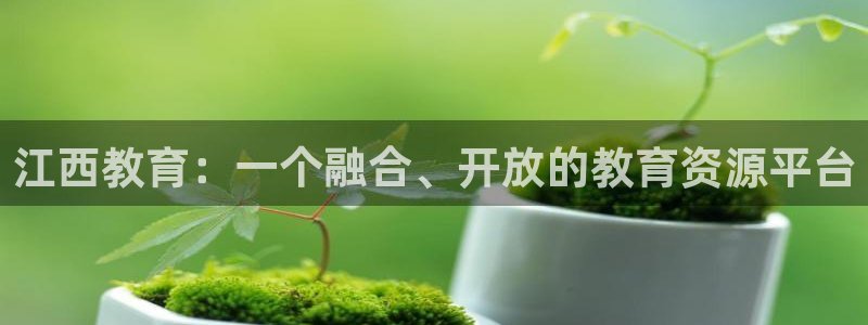 安信12位资金账号