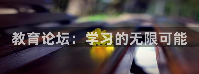 安信证券手机壳12