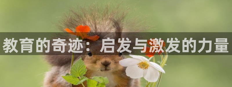 安信12是正规平台吗