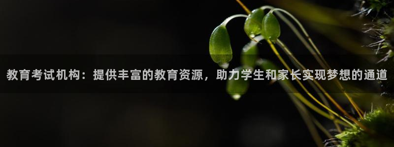 安信锐赢134号12月