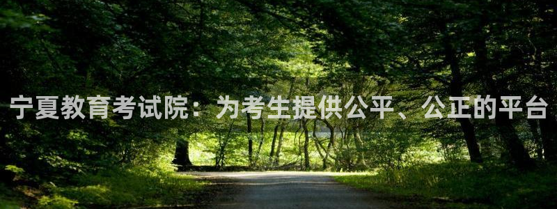 安信12是什么平台