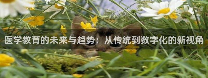 安信12娱乐7o777还