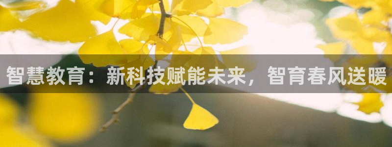 安信12如何开代理