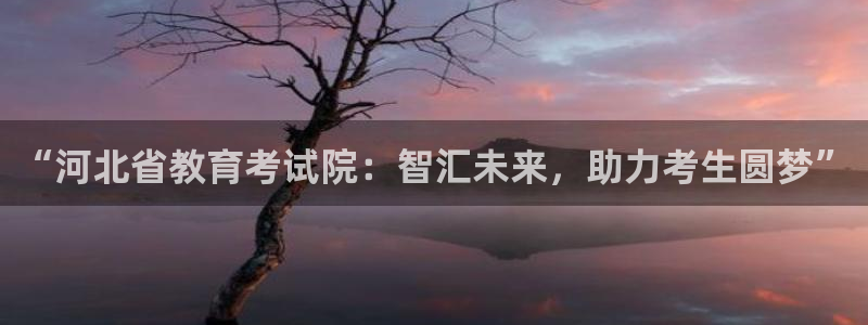 安信12位数资金号