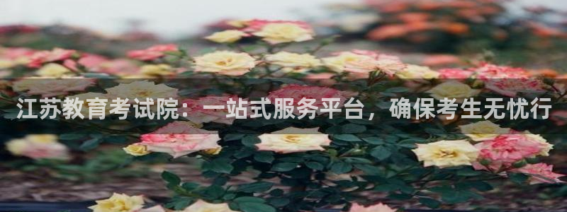 安信esp12