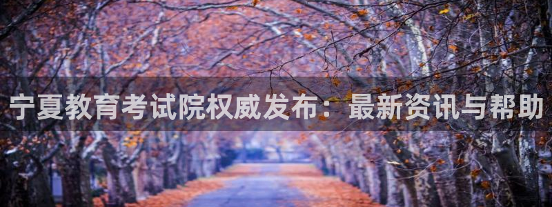 安信12软件介绍