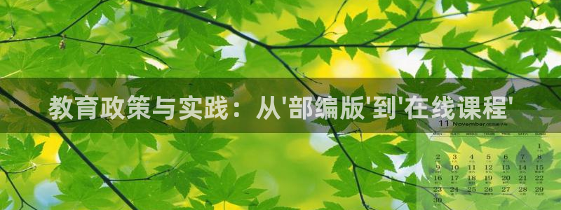 安信4特邀55 12