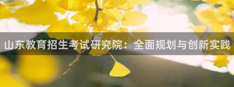 安信12位数资金号