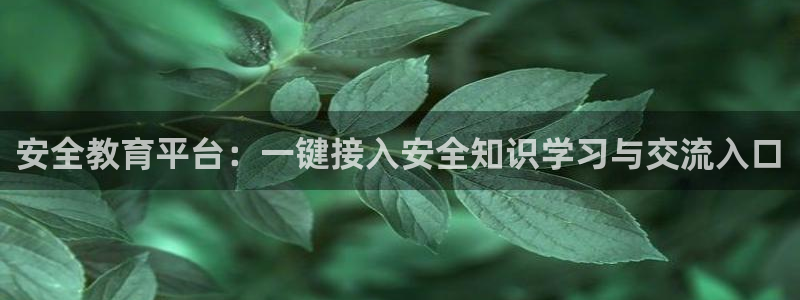 信安杯12