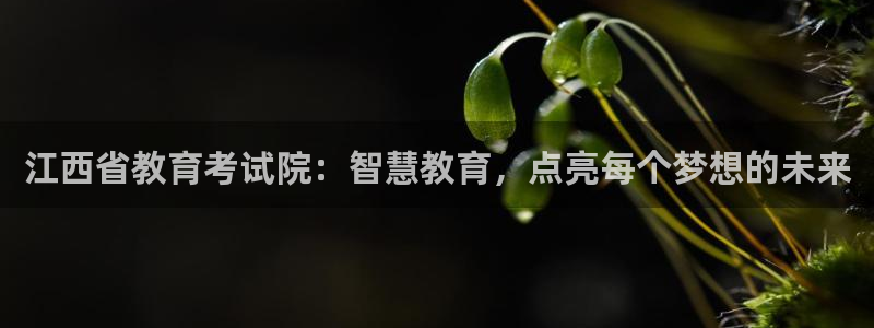 安信12下载