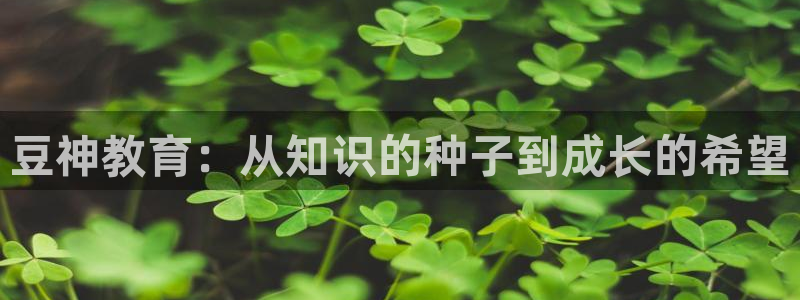 安信12网页版
