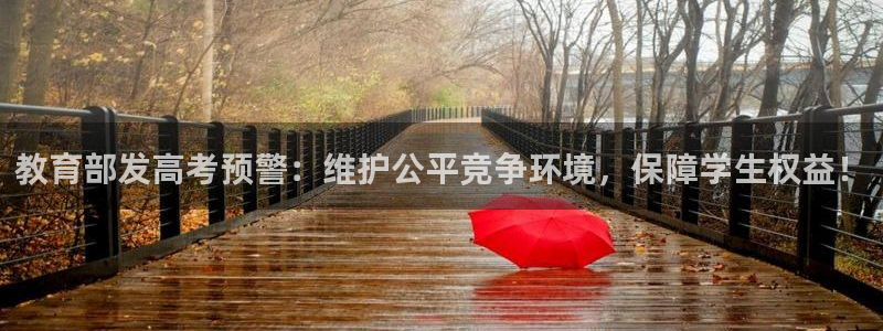 安信12月金股