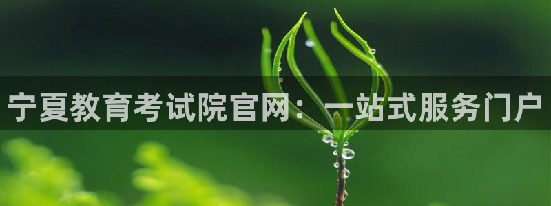 安信12招商