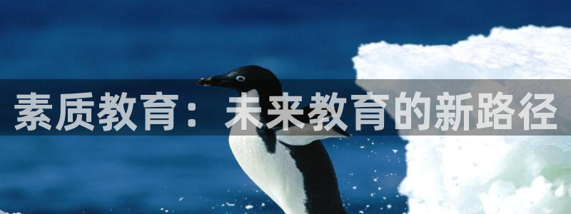 安信可12f
