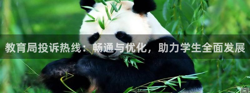 安信12娱乐平台