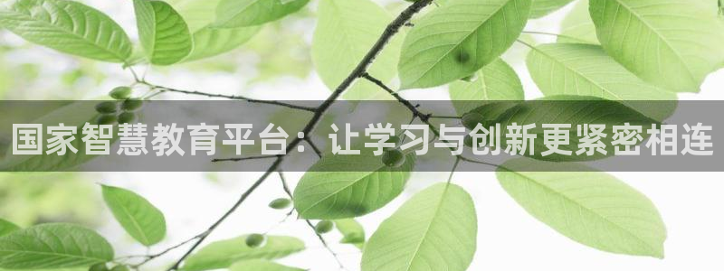 安信cwa12