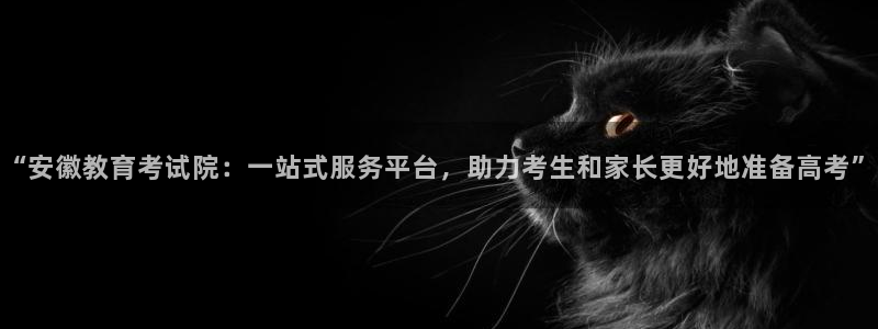 安信 12