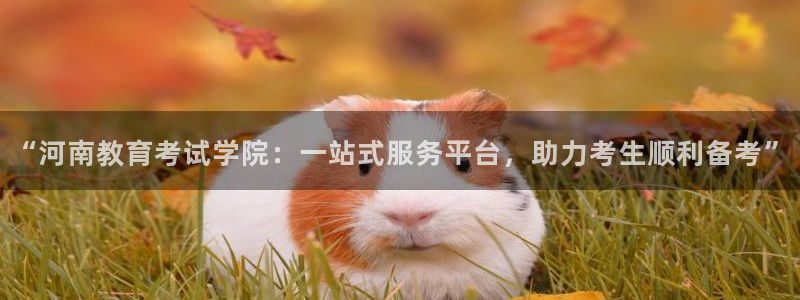 安信12负责人