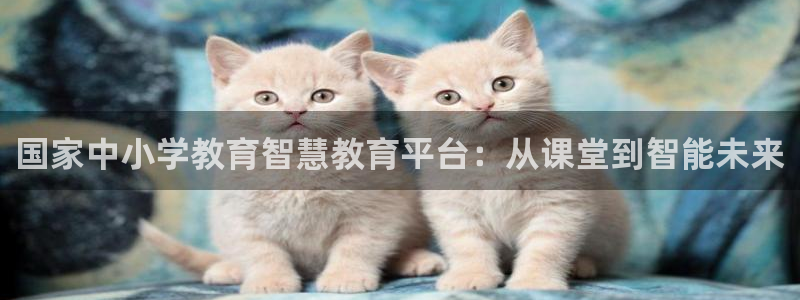 12月安信推荐