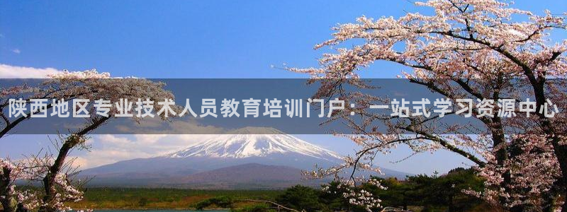 安信12是做什么