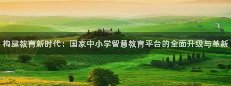 安信卓越12月