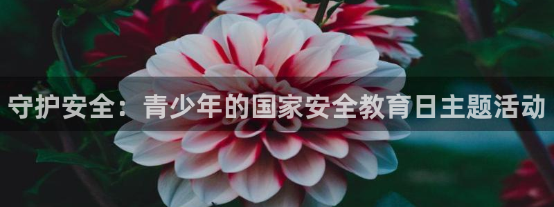 安信cwa12