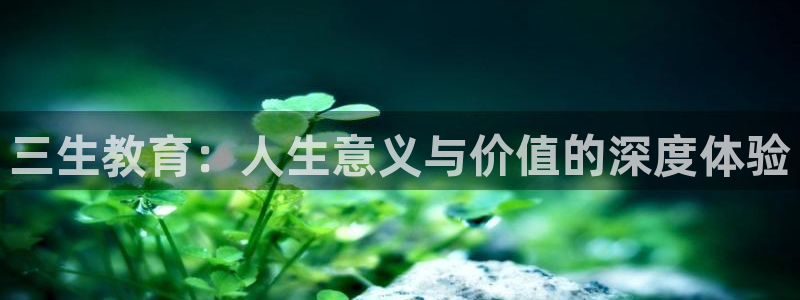 安信12是啥