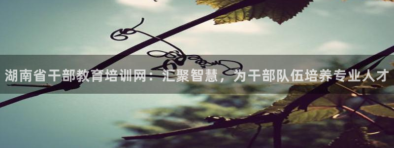 安信12周年庆典