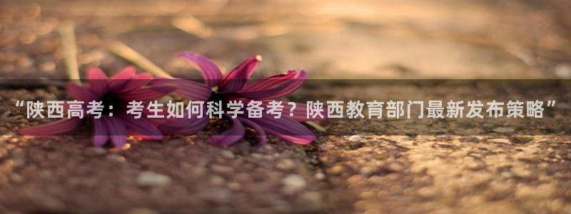 安信12想开户