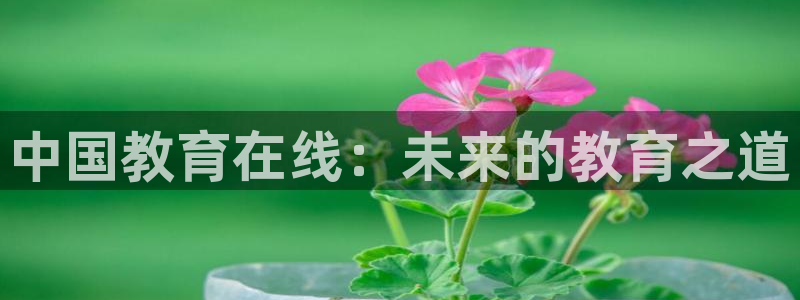 安信12娱乐招商探索空间