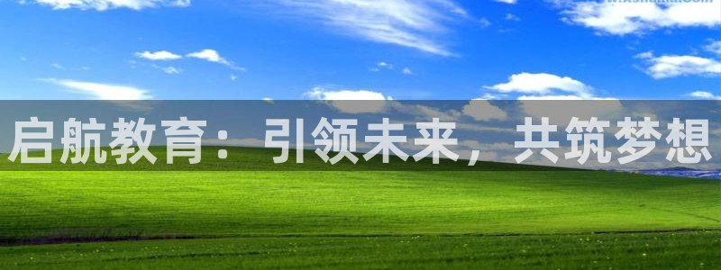 安信12是啥